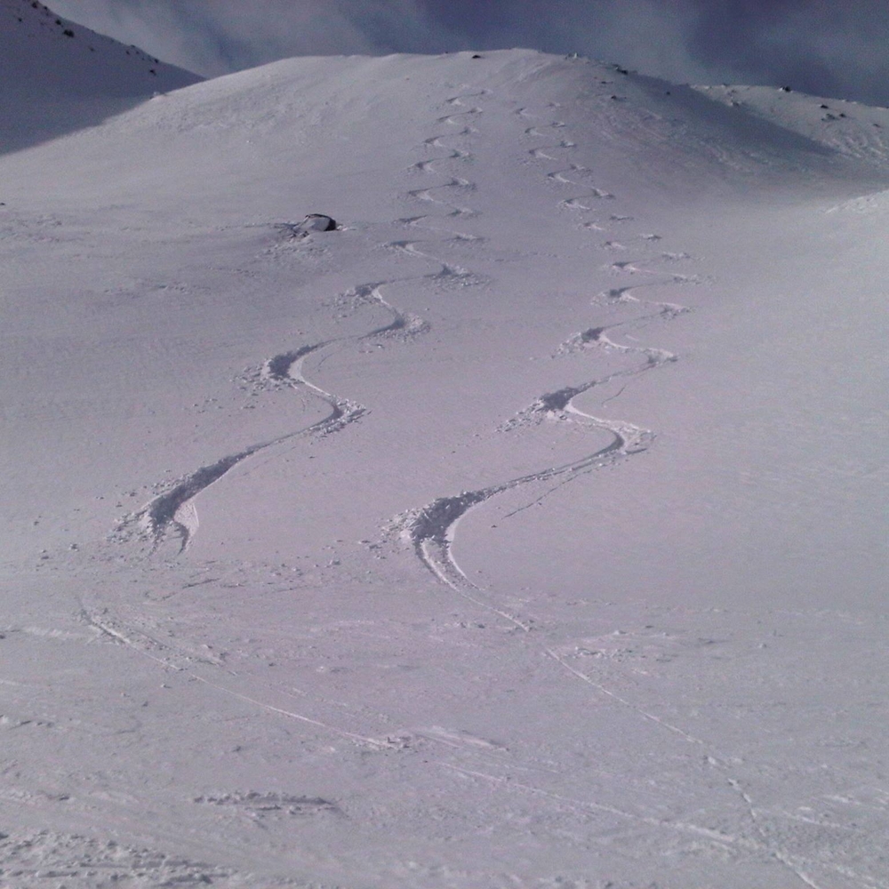 Meet your Posher, Joseph